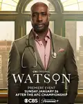 Watson Season 1 / Уотсън Сезон 1 (2024)