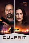 Culprit  / Виновник (2025)